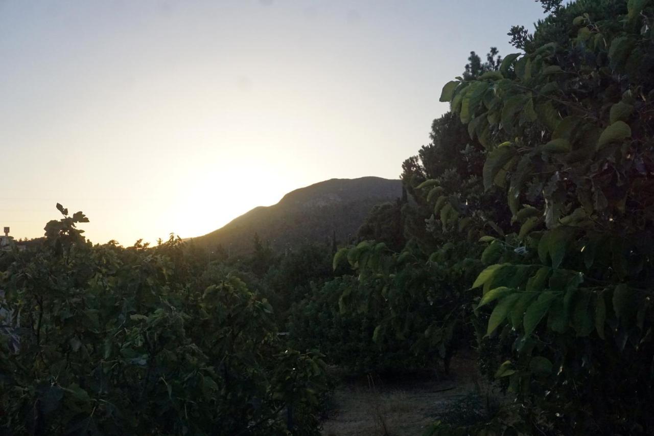 Ohn-Bar Guesthouse Amirim Dış mekan fotoğraf